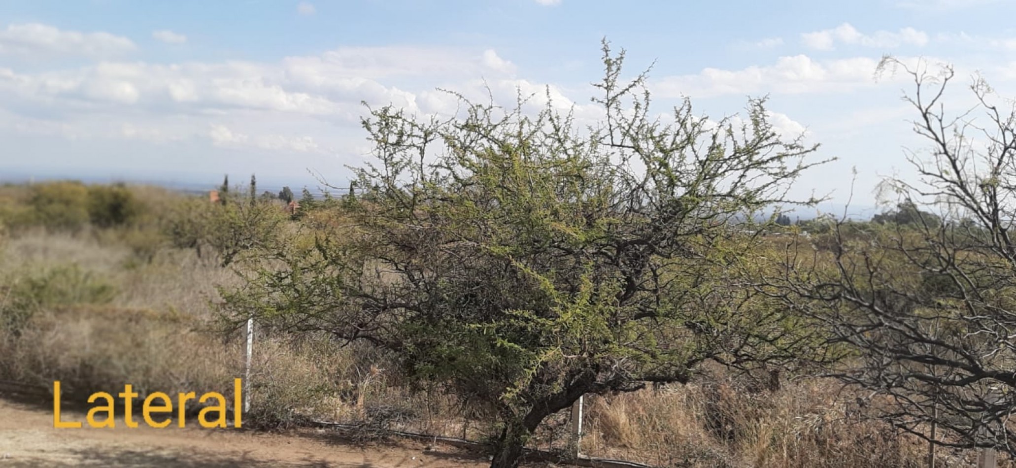 LOTE EN MERLO, SAN LUIS, A 20 CUADRAS DEL CENTRO