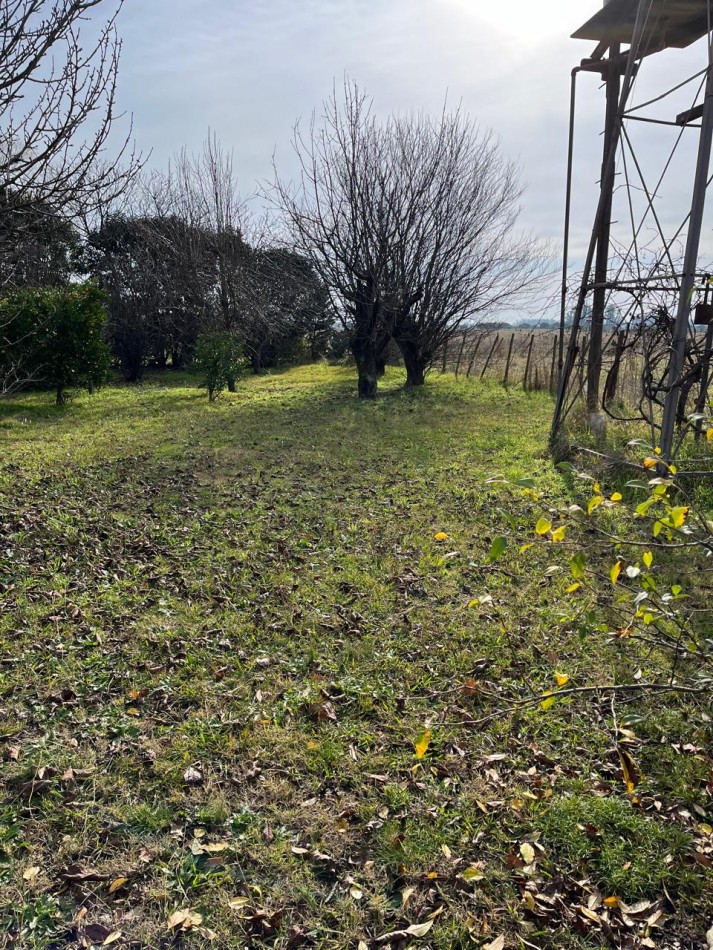 CAMPO DE POCO MAS DE 5 HECTAREAS EN MAR DEL PLATA VENDE, PERMUTA Y FINANCIA