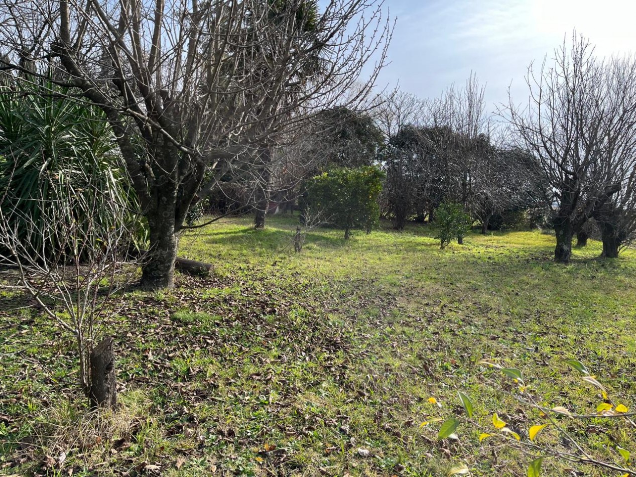 CAMPO DE POCO MAS DE 5 HECTAREAS EN MAR DEL PLATA VENDE, PERMUTA Y FINANCIA