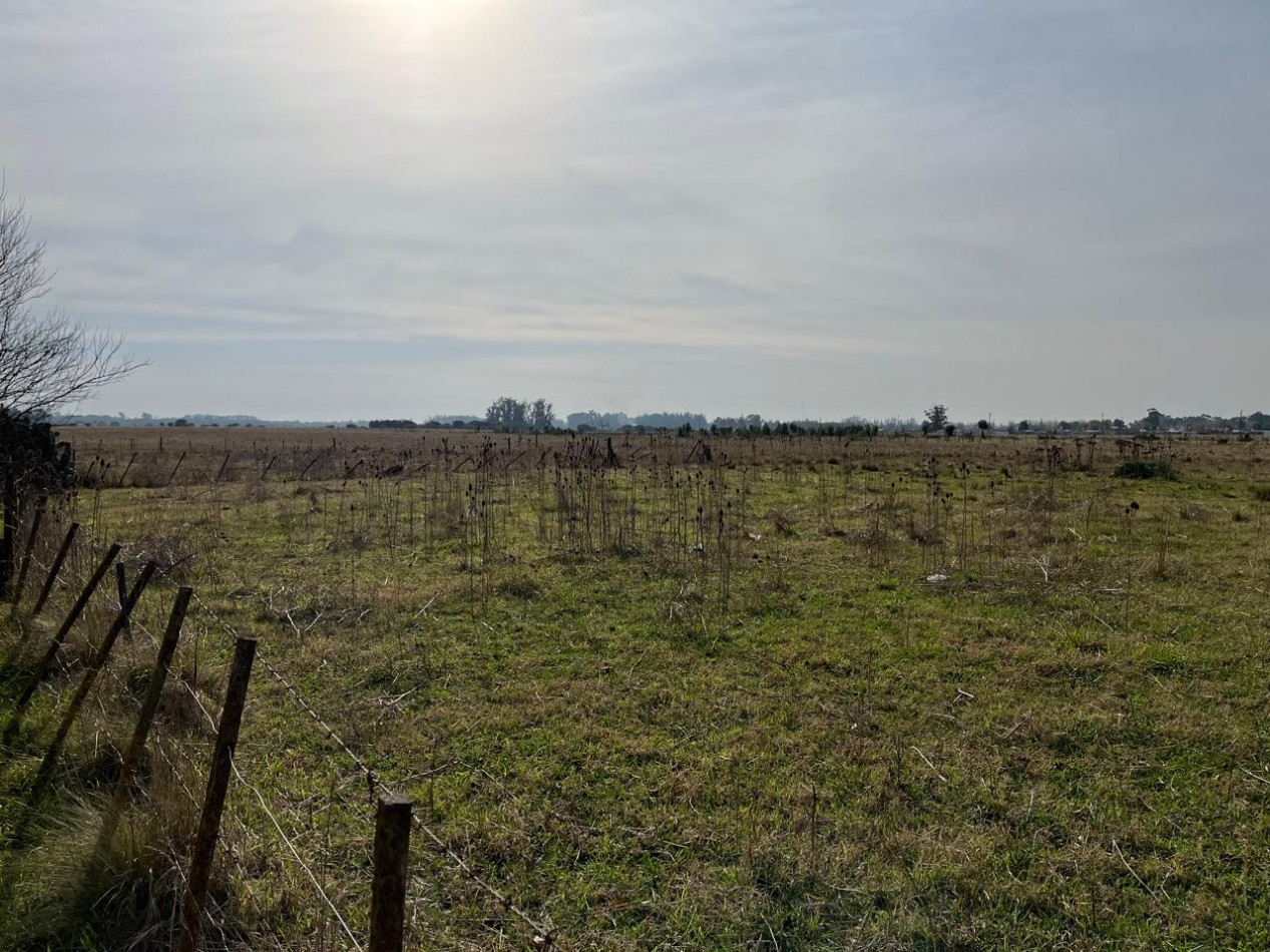 CAMPO DE POCO MAS DE 5 HECTAREAS EN MAR DEL PLATA VENDE, PERMUTA Y FINANCIA