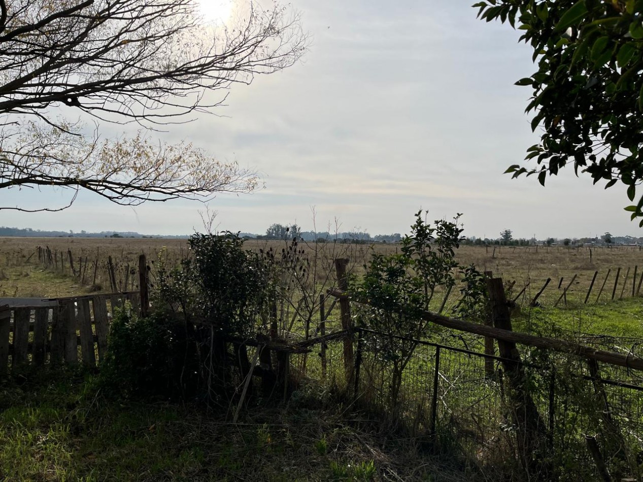 CAMPO DE POCO MAS DE 5 HECTAREAS EN MAR DEL PLATA VENDE, PERMUTA Y FINANCIA