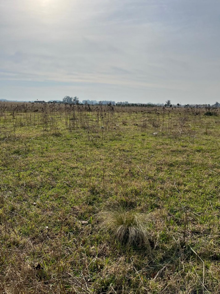 CAMPO DE POCO MAS DE 5 HECTAREAS EN MAR DEL PLATA VENDE, PERMUTA Y FINANCIA