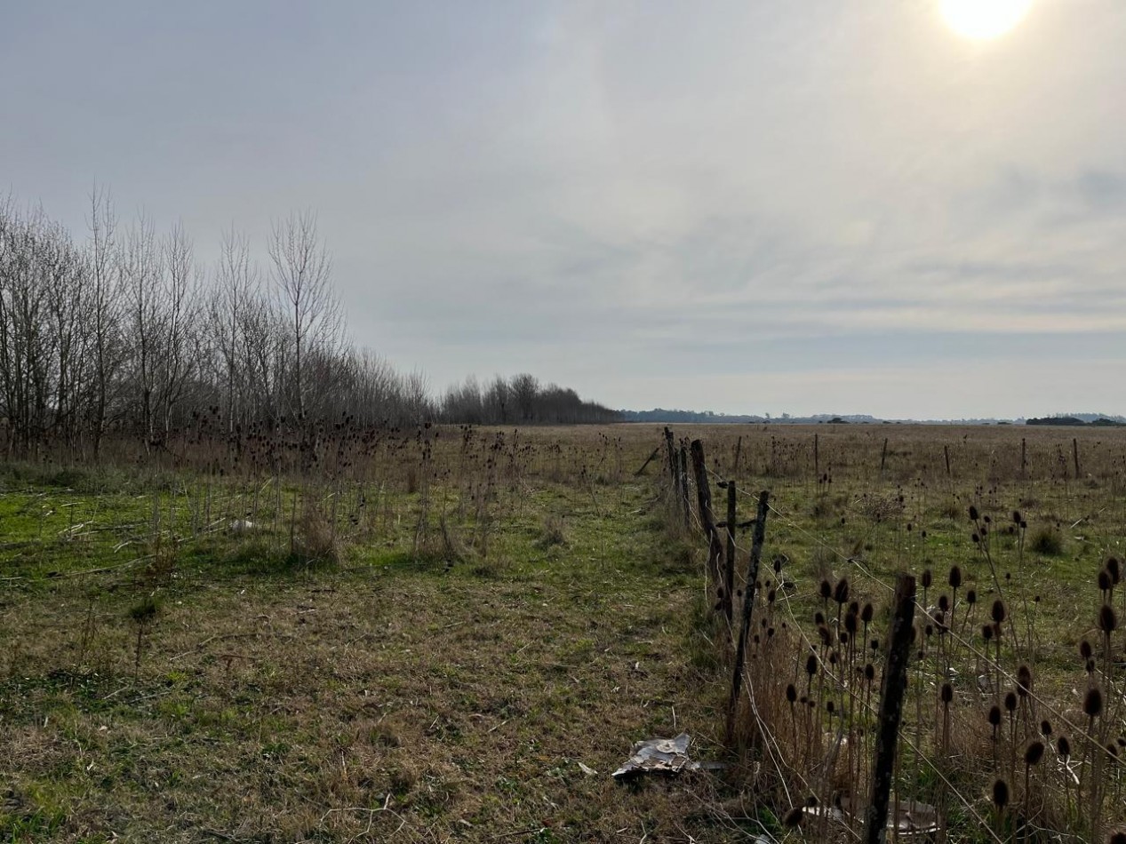 CAMPO DE POCO MAS DE 5 HECTAREAS EN MAR DEL PLATA VENDE, PERMUTA Y FINANCIA