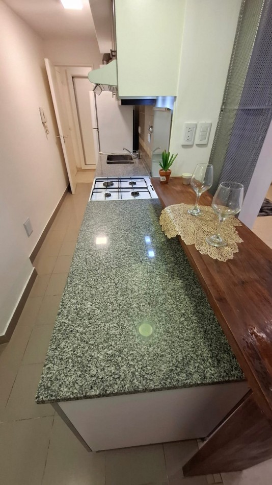 DEPARTAMENTO 1 AMBIENTE Y MEDIO CON PATIO CERRADO EN ALDREY