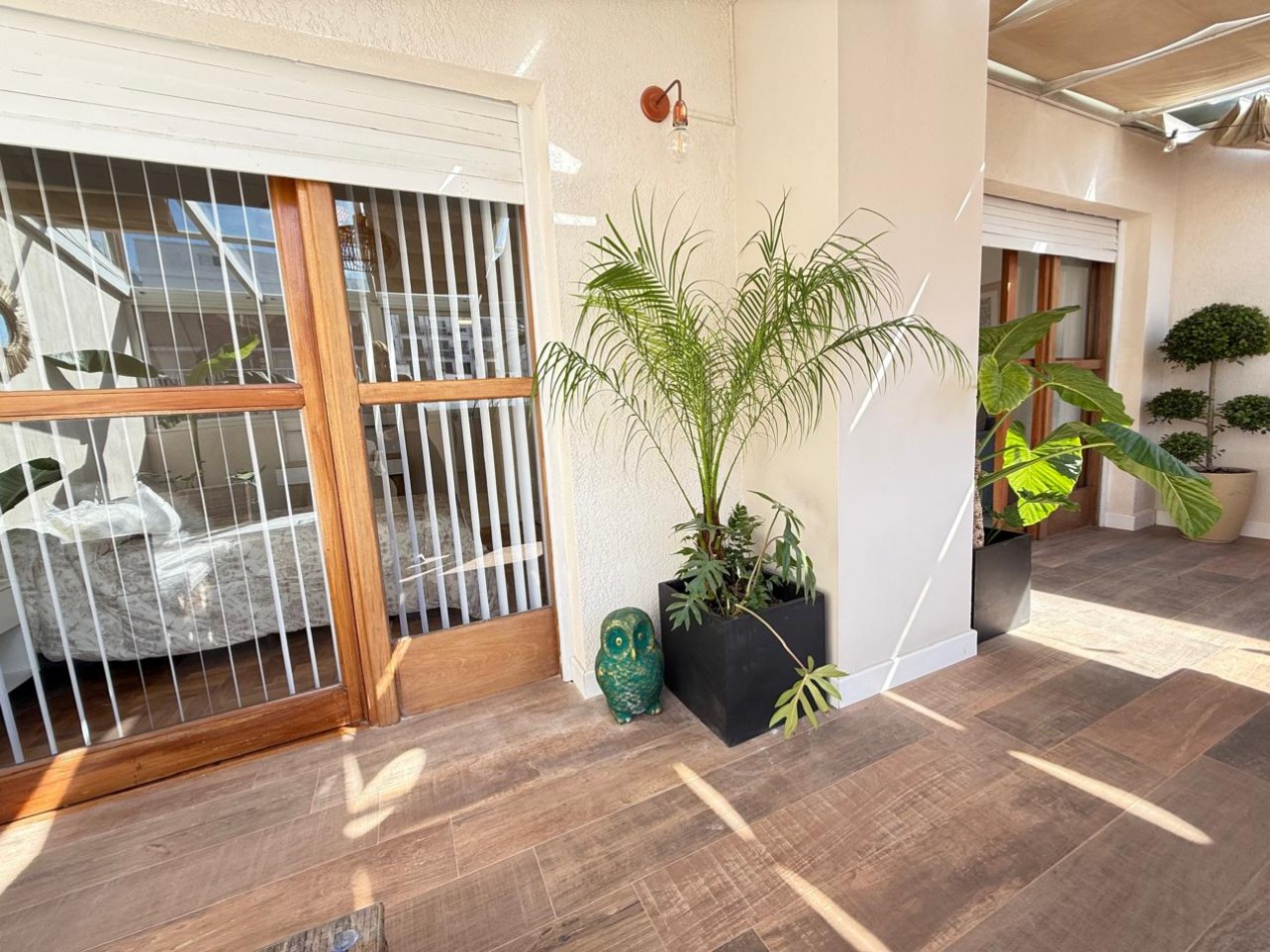 DEPARTAMENTO 3 AMBIENTES A LA CALLE C BALCON TERRAZA TIPO JARDIN DE INVIERNO