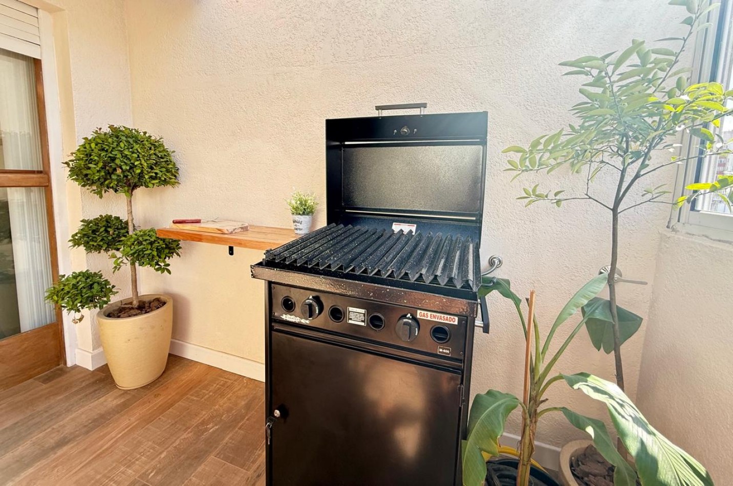 DEPARTAMENTO 3 AMBIENTES A LA CALLE C BALCON TERRAZA TIPO JARDIN DE INVIERNO