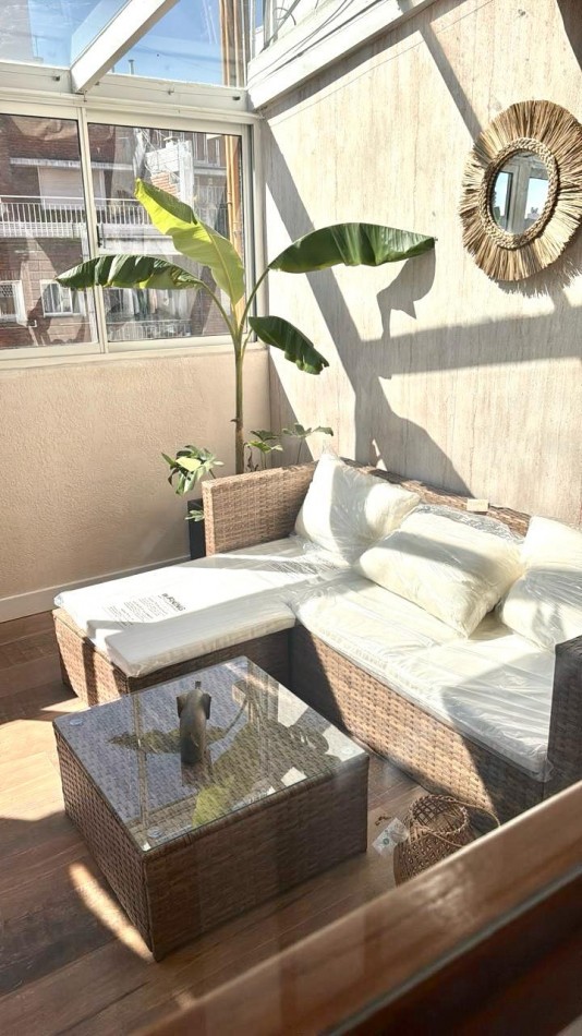 DEPARTAMENTO 3 AMBIENTES A LA CALLE C BALCON TERRAZA TIPO JARDIN DE INVIERNO