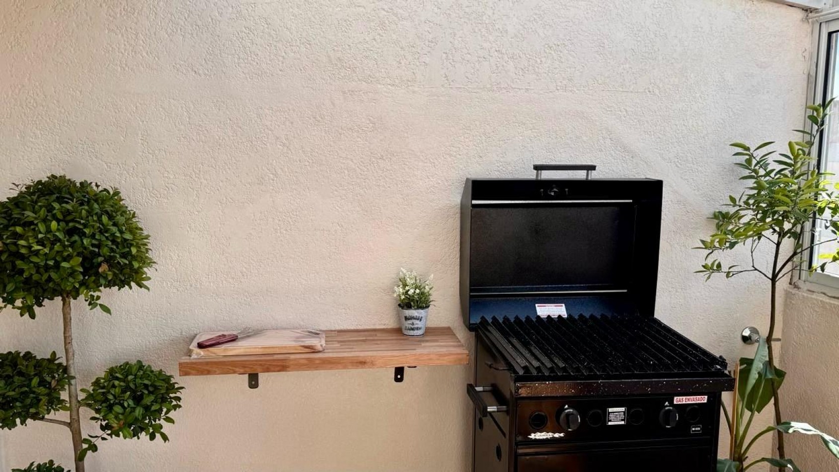 DEPARTAMENTO 3 AMBIENTES A LA CALLE C BALCON TERRAZA TIPO JARDIN DE INVIERNO