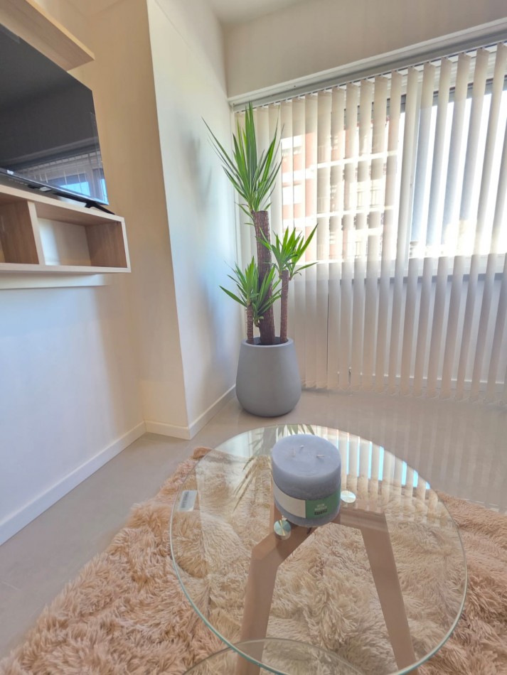 DEPARTAMENTO 2 AMBIENTES CON VISTA A LA CALLE EN ALDREY