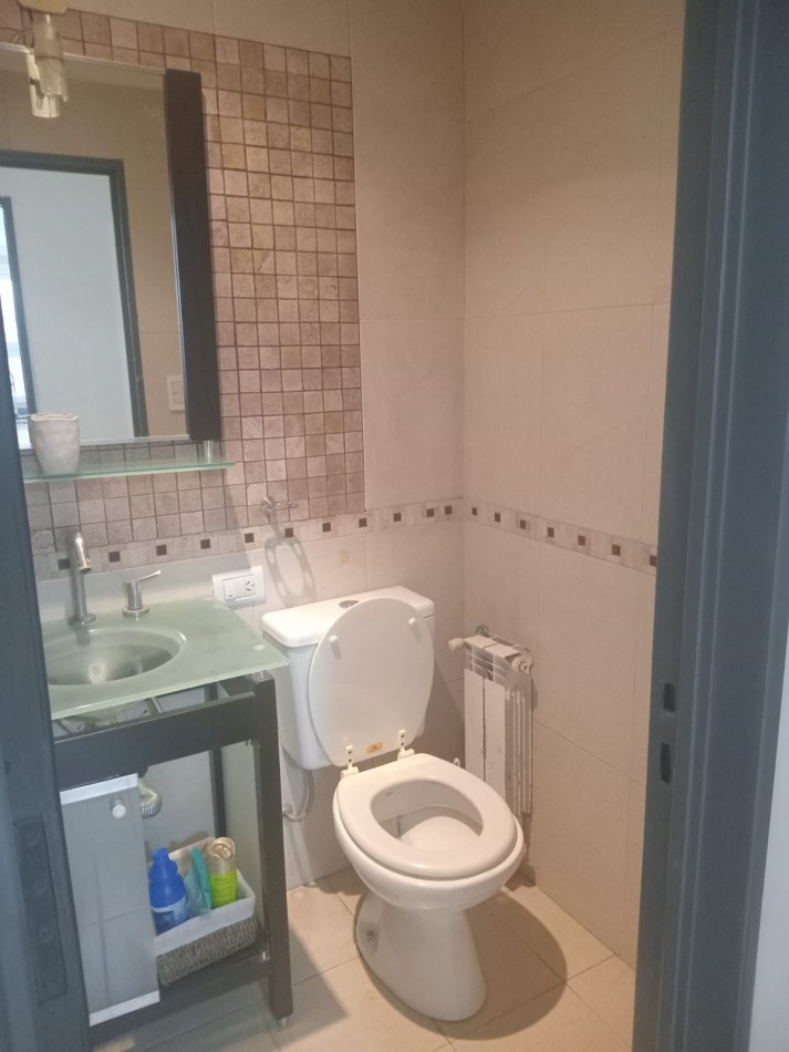DEPARTAMENTO 3 AMBIENTES CON 2 PATIOS EN PLAZA MITRE SE ALQUILA POR 12 MESES