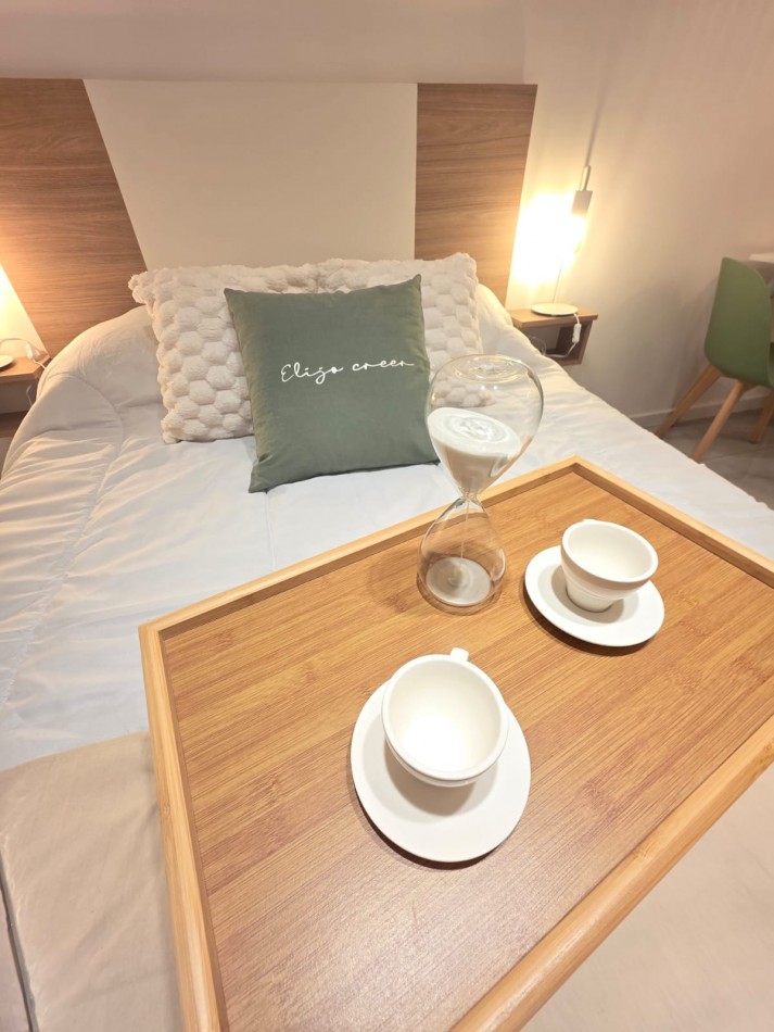 DEPARTAMENTO 1 AMBIENTE EXTERNO CON BALCON SALIENTE EN PLAZA COLON