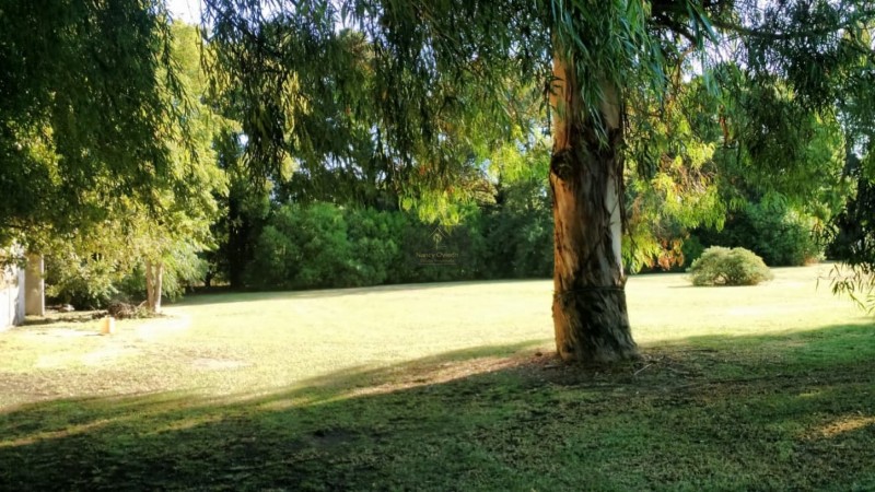 CASA QUINTA DE 6 AMBIENTES SOBRE UNA SUPERFICIE DE 1 HECTAREA DE PARQUE