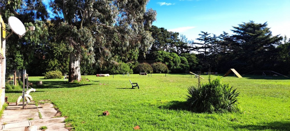 CASA QUINTA DE 6 AMBIENTES SOBRE UNA SUPERFICIE DE 1 HECTAREA DE PARQUE