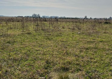 CAMPO DE POCO MAS DE 5 HECTAREAS EN MAR DEL PLATA VENDE, PERMUTA Y FINANCIA